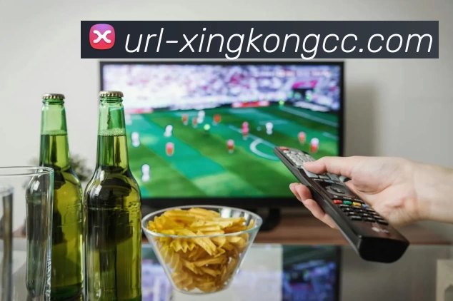 数据分析功能